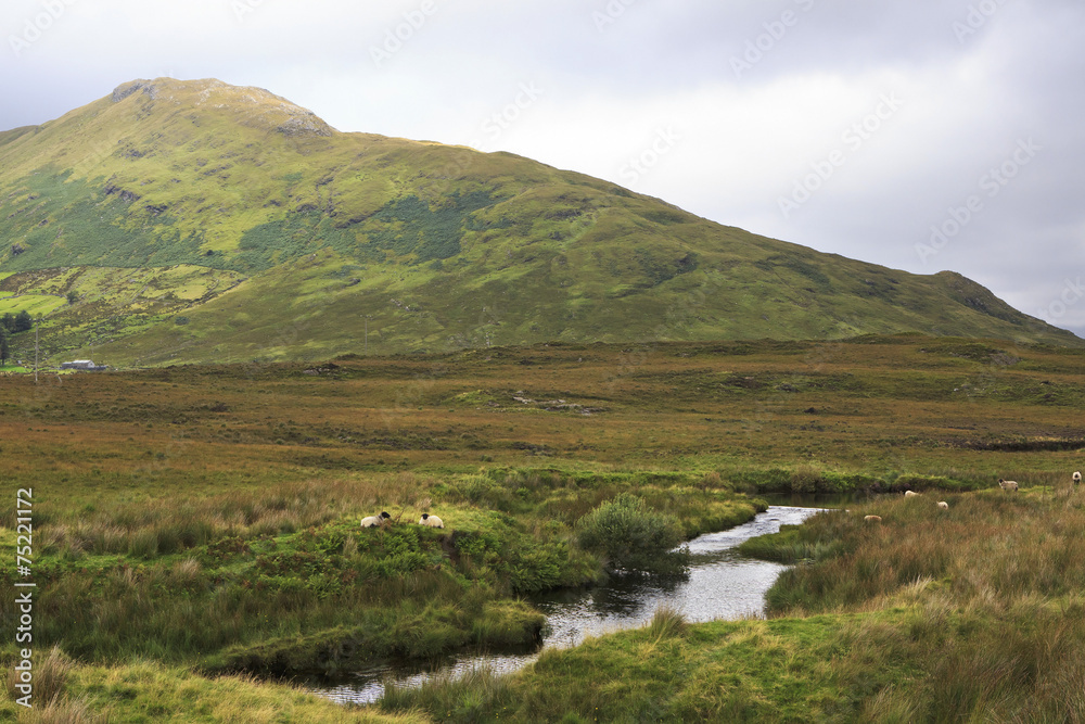 Fototapeta premium National park Connemara.