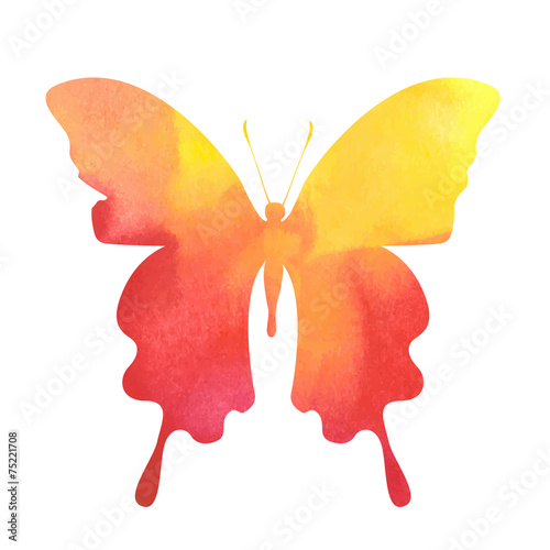 colorful red-yellow watercolor butterfly