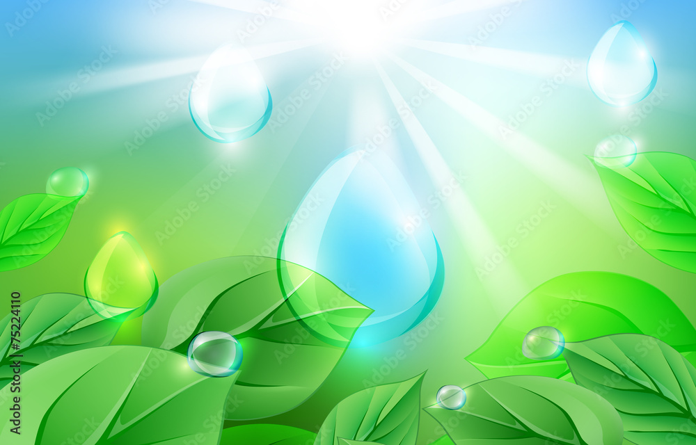 Obraz premium leaves and drops