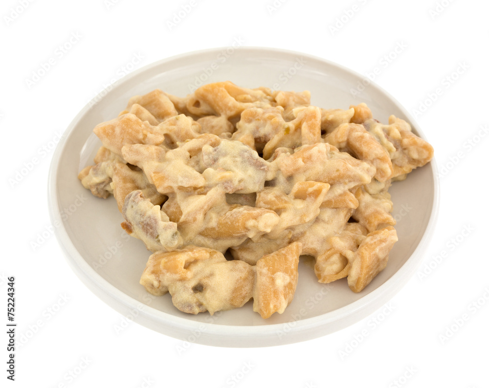Plate of chicken with pasta in jalapeno sauce Plate of chicken with pasta in jalapeno sauce
