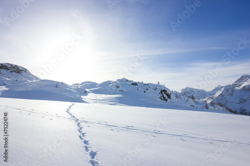 Orme e impronte su neve