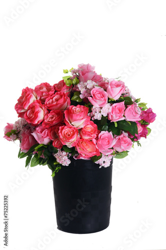 Assorted roses on white