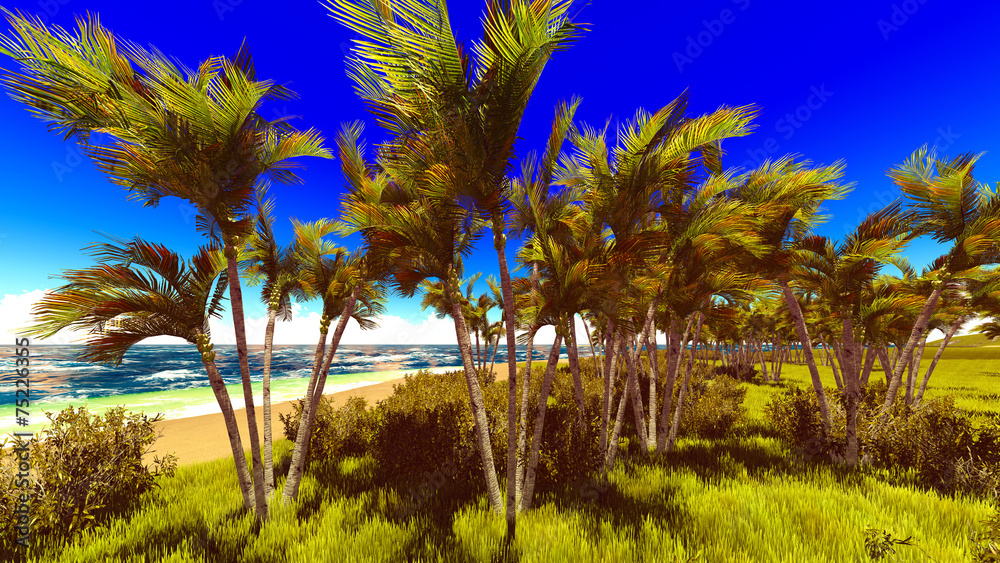 Fototapeta premium beautiful shore