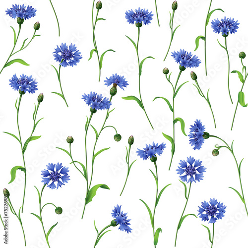 Blue cornflowers pattern