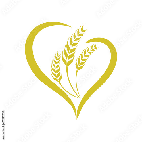 Obraz na płótnie wheat vecter w salonie