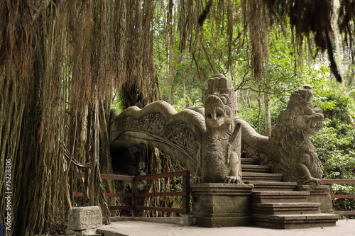 Photography temple in the ubud monkey forest