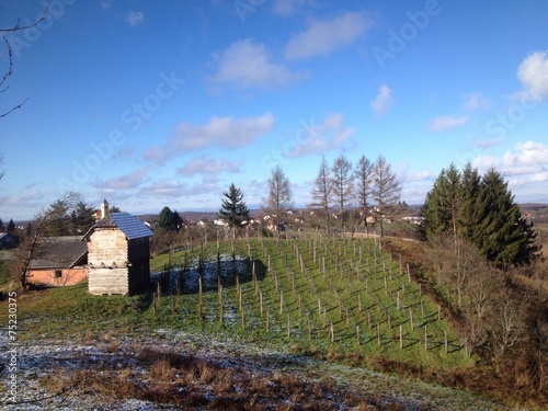 severski breg, kravarsko photo