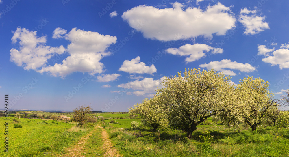 Parco Alta Murgia:paesggio primaverile. -(Puglia) ITALIA-