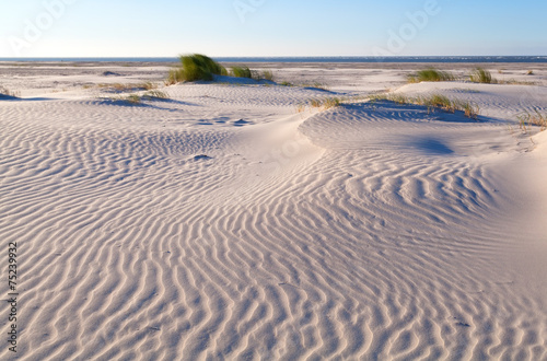 sand pattern on coastal dune