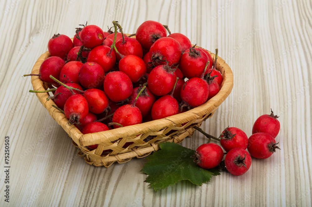 Hawthorn Hawthorn