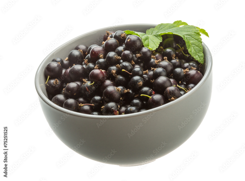 Black currant Black currant