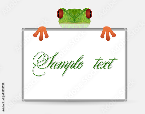 Little red-eyed tree frog is holding horizontal frame