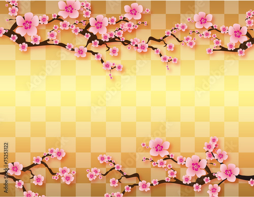 梅5