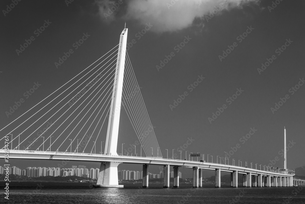 Fototapeta premium modern bridge