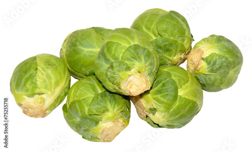 Brussels Sprouts Isolated