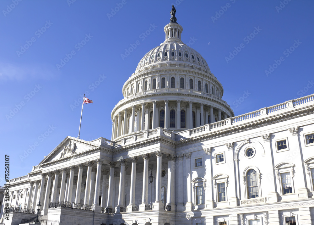 Obraz premium Washington DC , Capitol Building