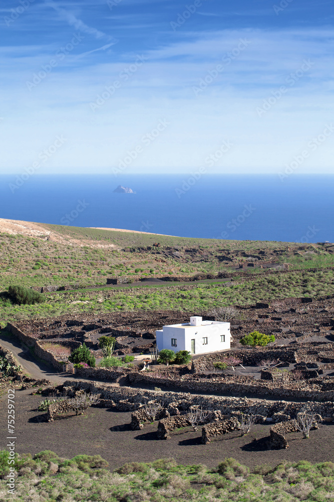 Lanzarote - Blick zur Felseninsel Roque del Este