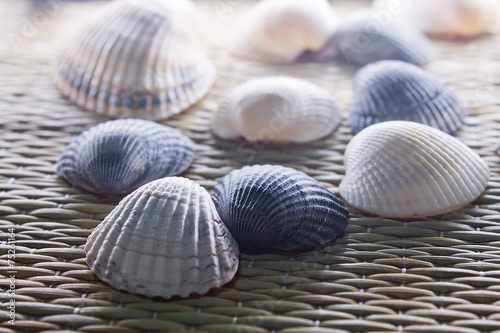 sea shells on a straw mat