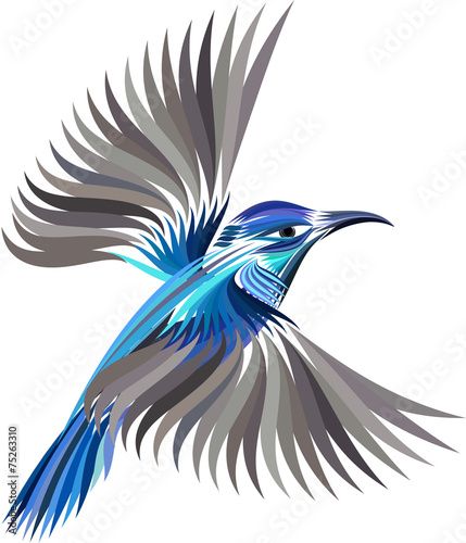 colored hummingbird