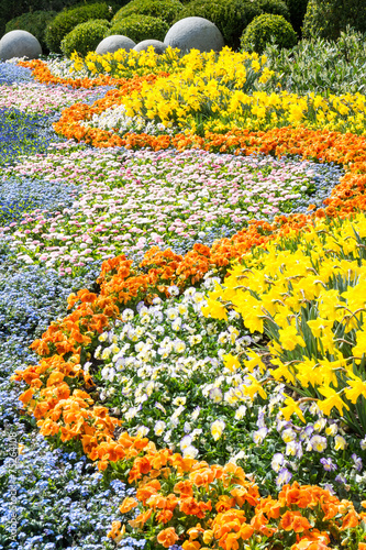 Fototapeta Naklejka Na Ścianę i Meble -  Gorgeous spring flowers