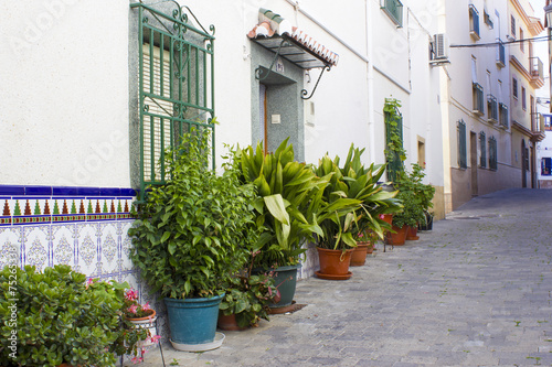 Fototapeta Naklejka Na Ścianę i Meble -  Street in Almunecar - Andalusia, Spain