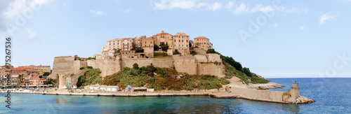 Town of Calvi from the ferry