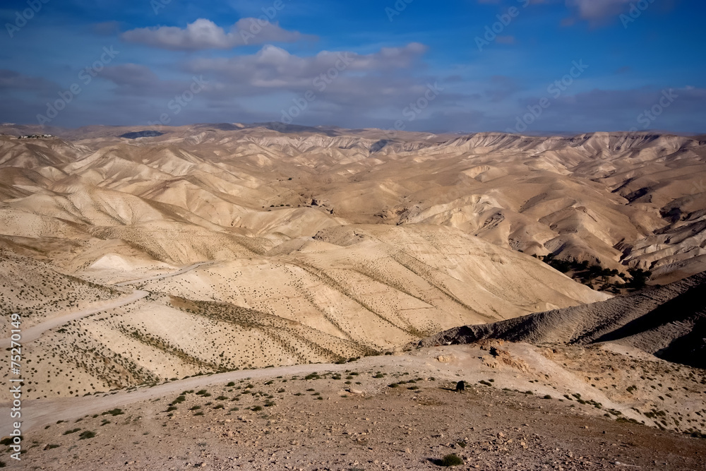 Negev desert in Israel