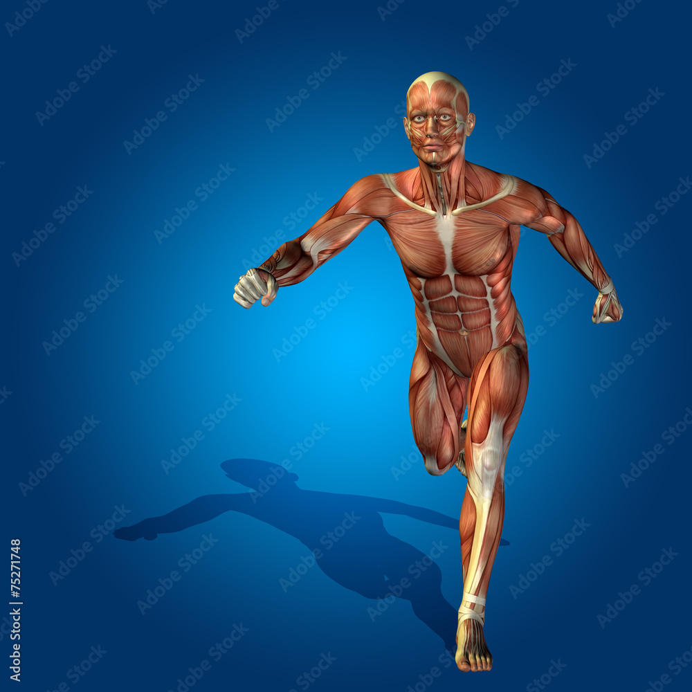 Conceptual 3D human man health anatomy