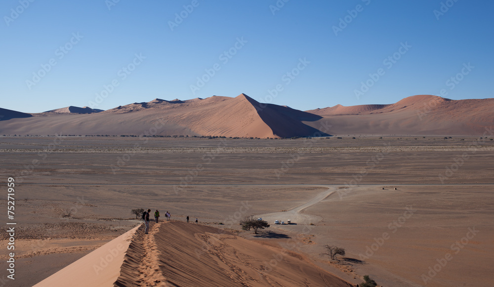 Deserto del namib duna 45