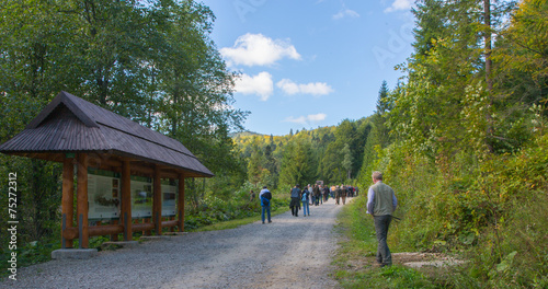 Fototapeta Naklejka Na Ścianę i Meble -  Muczne Bison Reserve in Bieszczady