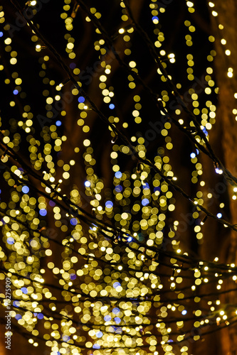 Christmas garland on trees