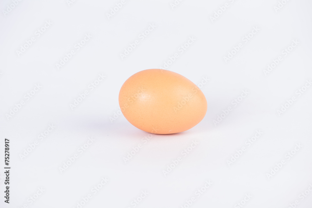 close up of egg on white background