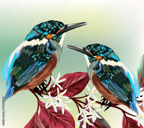 Couple of colorful birds sit on a branch