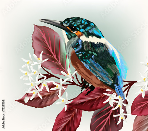 Illustration with bird and branch with flowers