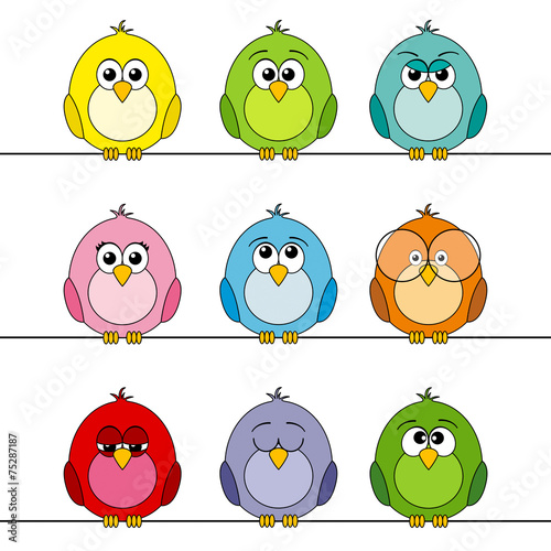 funny birds #1