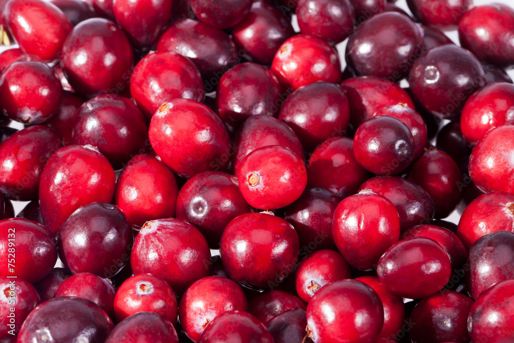 background of red fresh rawcranberry fruits macro background of red fresh rawcranberry fruits macro