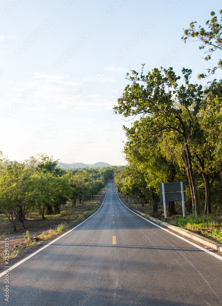 Obraz premium country road