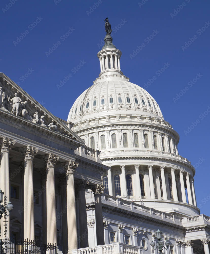 Fototapeta premium Capitol, US, Washington DC