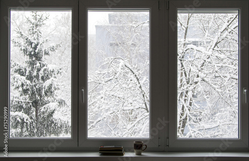 Obraz na płótnie Books on the window in winter w salonie