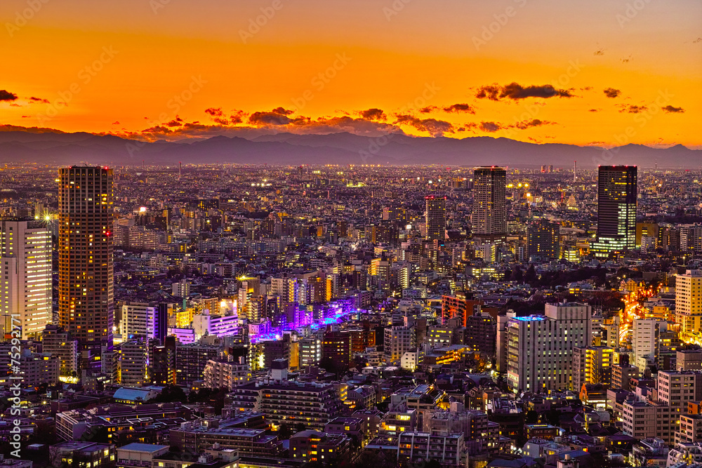 Obraz premium 東京の夕暮れ