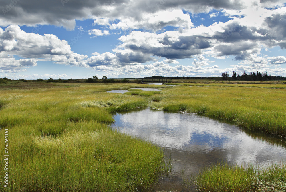 Moorlandschaft Moorlandschaft
