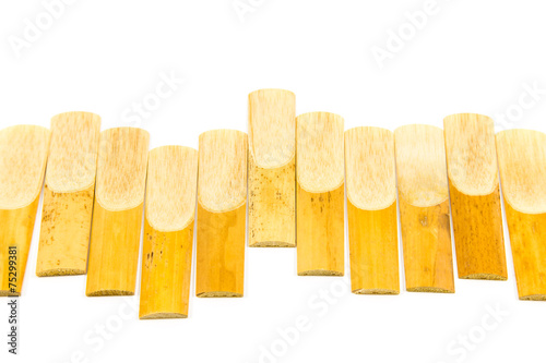 Saxophone Reed photo