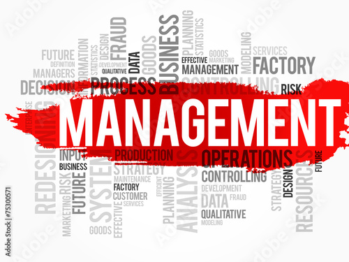 Word cloud of MANAGEMENT related items, vector background
