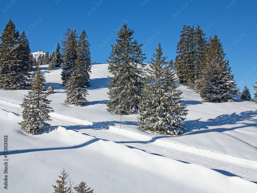 Fototapeta premium Winter in alps