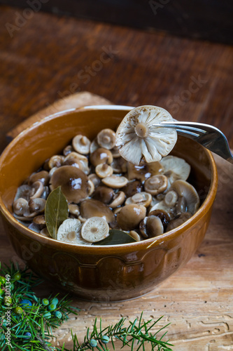 marinated honey fungus in brown bowl on wooden table.