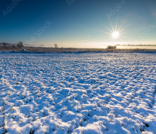 winter field at sunrise