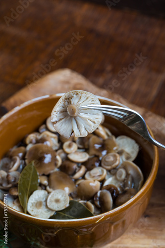 marinated honey fungus in brown bowl on wooden table.