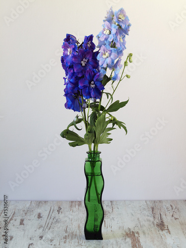 Billede på lærred Blue Delphinium Flowers