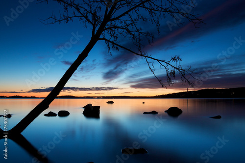 Tree silhouette leaning over Pyhajarvi lake in Tampere