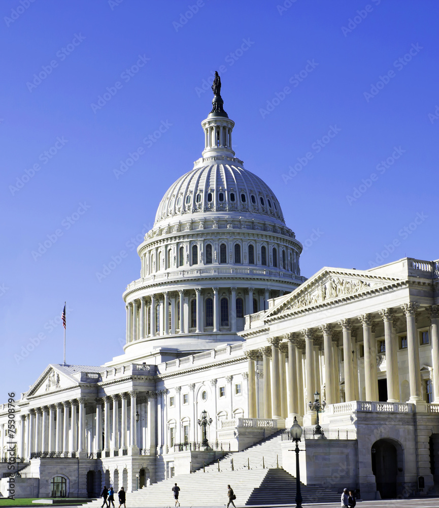 Obraz premium Washington DC, Capitol Building